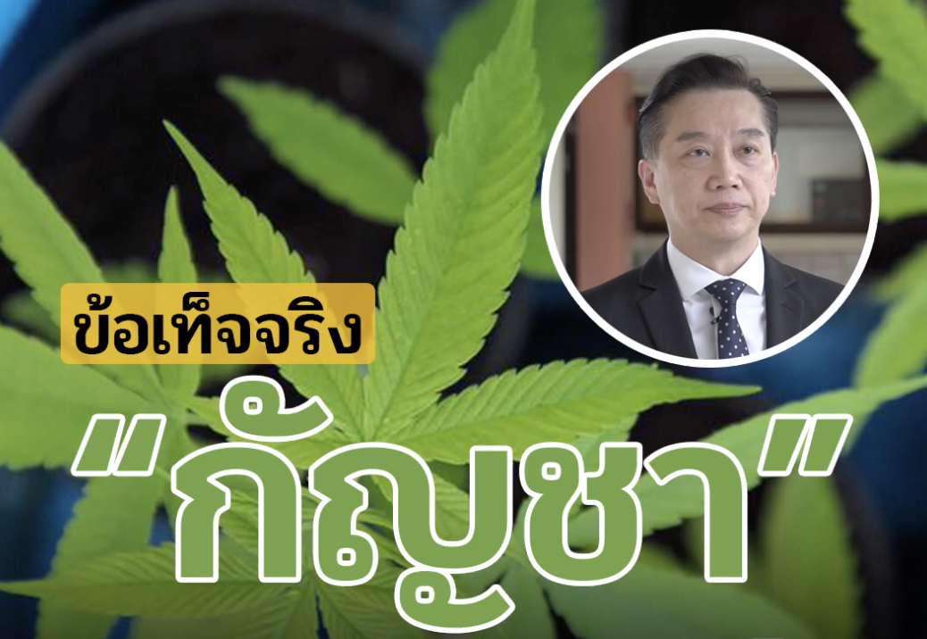 ข้อเท็จจริง!! เกี่ยวกับกัญชา กับรักษามะเร็ง